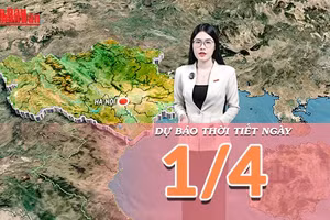 [Video] Dự báo thời tiết ngày 1/4/2026: Bắc Bộ dịu mát nhờ mưa dông, Nam Bộ tiếp tục nắng nóng cao điểm
