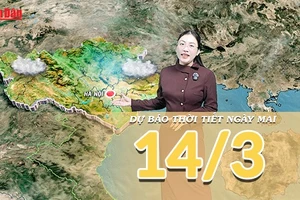 [Video] Dự báo thời tiết đêm nay và ngày mai 14/3/2026: Bắc Bộ sương mù dày, miền Trung mưa dông diện rộng