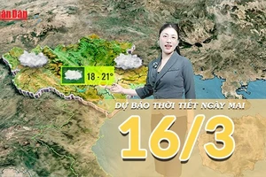 [Video] Dự báo thời tiết đêm nay và ngày mai 16/3/2026: Miền Bắc duy trì nồm ẩm, miền Đông Nam Bộ sắp đón nắng nóng diện rộng