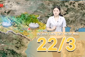 [Video] Dự báo thời tiết đêm nay và ngày mai 22/3/2026: Bắc Bộ giảm mưa hửng nắng, Nam Bộ nắng ráo ổn định
