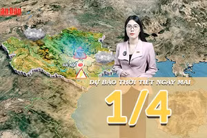 [Video] Dự báo thời tiết đêm nay và ngày mai 1/4/2026: Bắc Bộ đón không khí lạnh yếu, cảnh báo dông lốc và mưa đá