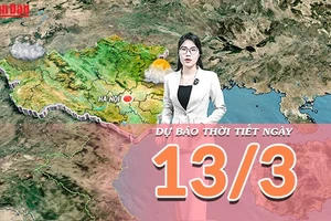 [Video] Dự báo thời tiết ngày 13/3/2026: Không khí lạnh gây mưa rét tại Trung Bộ, cảnh báo biển động mạnh 