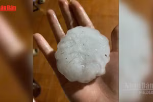 [Video] Mưa đá hạt to như nắm tay trút xuống Bắc Hà