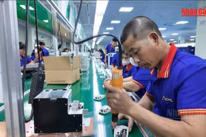 [Video] Trình Chính phủ phương án tăng lương tối thiểu vùng từ 1/1/2027 thêm 7,8%