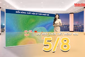 [Video] Dự báo thời tiết đêm nay và ngày mai ngày 5/8/2026: Xuất hiện áp thấp nhiệt đới trên Biển Đông
