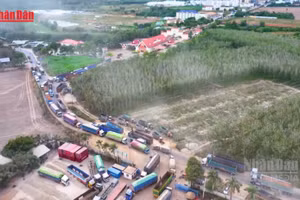 [Video] Chính phủ tiếp tục tạm ngưng áp dụng Nghị định 46 về an toàn thực phẩm