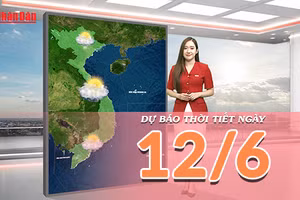 [Video] Dự báo thời tiết ngày 12/6/2026: Bắc Bộ tăng nhiệt trở lại, Nam Bộ mưa dông về chiều tối 