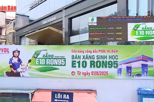 [Video] Giám sát, kiểm tra triển khai xăng sinh học E10