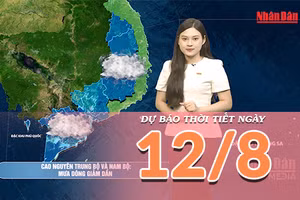 [Video] Dự báo thời tiết ngày 12/8/2026: Nắng nóng gay gắt tiếp tục bao trùm Bắc Bộ, Trung Bộ