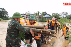 [Video] Rút kinh nghiệm từ lũ lịch sử 2024-2025 để bảo vệ an toàn đê điều
