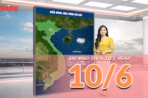 [Video] Dự báo thời tiết ngày 10/6/2026: Mưa dông tiếp diễn ở Bắc Bộ và Trung Bộ, thời tiết dịu mát 