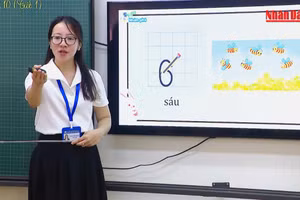 [Video] Bộ Giáo dục và Đào tạo đề xuất truy lĩnh lương cho giáo viên bị xếp sai hạng