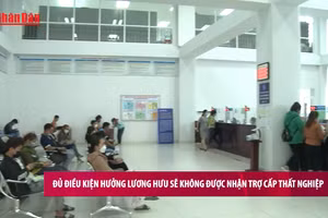 [Video] Đủ điều kiện hưởng lương hưu sẽ không được nhận trợ cấp thất nghiệp