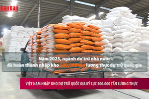 [Video] Việt Nam nhập kho dự trữ quốc gia kỷ lục 500.000 tấn lương thực