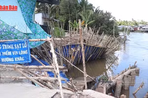 [Video] Sạt lở diễn biến phức tạp ở Đồng bằng sông Cửu Long