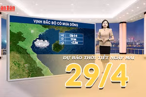 [Video] Dự báo thời tiết đêm nay và ngày mai ngày 29/4/2026: Không khí lạnh tràn về, Bắc Bộ mưa dông diện rộng