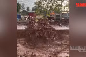 [Video] Làm rõ hiện tượng giếng khoan liên tiếp phun khí và nước tại Gia Lai