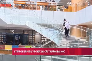 [Video] 5 tiêu chí sắp xếp, tổ chức lại các trường đại học