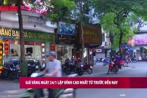 [Video] Giá vàng ngày 24/1 lập đỉnh cao nhất từ trước đến nay