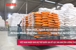 [Video] Việt Nam nhập kho dự trữ quốc gia kỷ lục 500.000 tấn lương thực