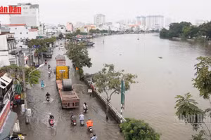 [Video] Từ ngày 19/4 đến 20/4, khả năng xuất hiện đợt triều cường ở ven biển Đông Nam Bộ