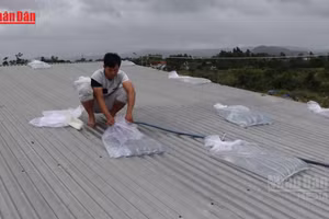 [Video] Nhiều cơn bão có thể ảnh hưởng đến đất liền Việt Nam tháng 7-12