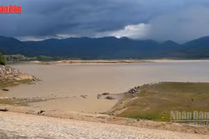 [Video] Chủ động ứng phó hạn hán và xâm nhập mặn