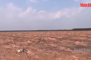 [Video] Ưu tiên thi công các đoạn tuyến giao thông kết nối sân bay Long Thành
