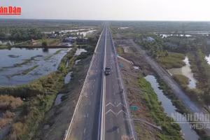 [Video] Giá xăng dầu biến động khiến chi phí bảo trì đường bộ dự kiến đội gần 1.000 tỷ đồng