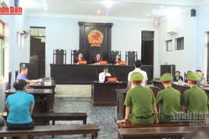 [Video] Bộ Công an đề xuất cơ chế 'tạm hoãn truy cứu hình sự' để khắc phục hậu quả