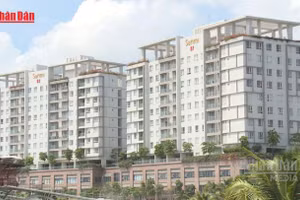 [Video] Giá căn hộ tại Hà Nội tăng 288% sau 10 năm