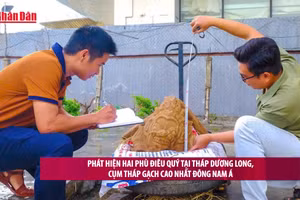 [Video] Phát hiện hai phù điêu quý tại tháp Dương Long, cụm tháp gạch cao nhất Đông Nam Á