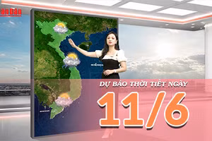 [Video] Dự báo thời tiết ngày 11/6/2026: Bắc Bộ có nắng trở lại, Trung Bộ tiếp diễn mưa dông cục bộ