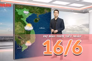 [Video] Dự báo thời tiết ngày 16/6/2026: Mưa lớn tại trung du và miền núi Bắc Bộ, Trung Bộ nắng giảm cường độ