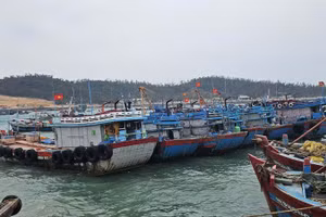 Tàu về neo đậu tại khu vực tránh trú bão ở đặc khu Cô Tô.
