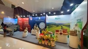 Tổng Công ty Thương mại Hà Nội - Công ty Cổ phần (HAPRO)