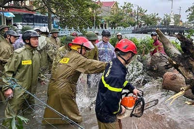 Công an Thanh Hóa cắt, giải phóng cây bị đổ.