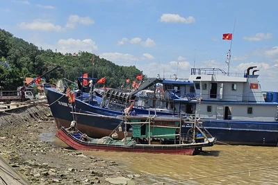 Tàu thuyền neo đậu trong lạch Trường, tỉnh Thanh Hóa.