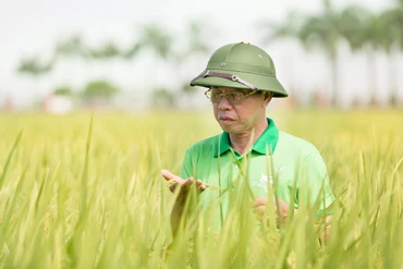 Doanh nhân Trần Mạnh Bảo, Chủ tịch Hội đồng quản trị ThaiBinh Seed.