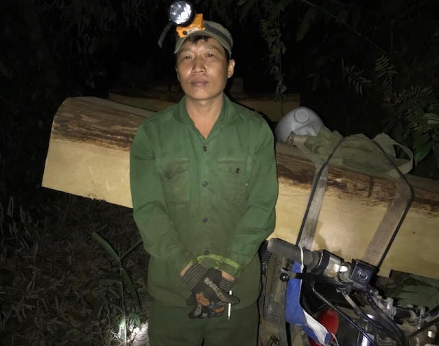 Phạt tù nhóm khai thác gỗ trái phép ở Kon Tum ảnh 1