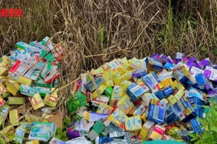 [Video] TP Hồ Chí Minh: Hàng nghìn sản phẩm thực phẩm chức năng đổ bỏ la liệt bên đường