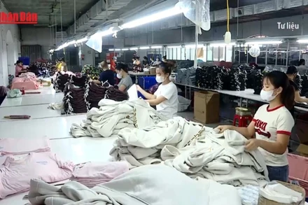 [Video] Từ 1/1/2026: Người làm bán thời gian phải tham gia bảo hiểm thất nghiệp 