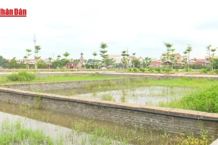 [Video] Những trường hợp được cấp sổ đỏ mà không phải nộp tiền sử dụng đất 