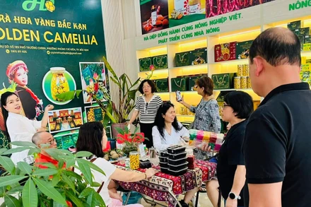 Du khách thăm và mua sắm ở điểm giới thiệu, trưng bày sản phẩm OCOP của Công ty Trách nhiệm hữu hạn Hà Diệp tại thành phố Bắc Kạn. (Ảnh: MINH ĐỢI).