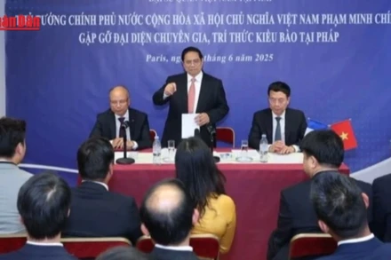 [Video] Thủ tướng đặt hàng chuyên gia, trí thức kiều bào thực hiện nhiệm vụ khoa học, công nghệ