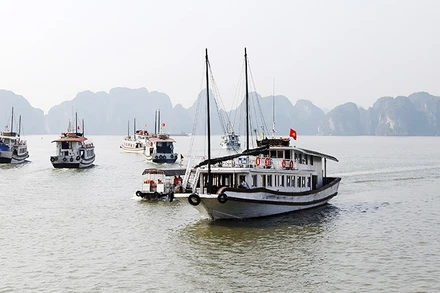 Tỉnh Quảng Ninh vừa tạm dừng cấp phép đối với các phương tiện thủy vận chuyển khách trên địa bàn. Ảnh: MINH LÊ