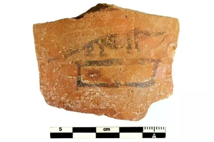 Hình vẽ một con chuột chù, loài vật linh thiêng của thần Haroeris. (Nguồn: Dự án Tübingen Athribis)