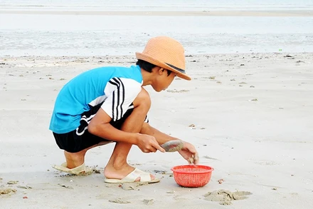 Bới cát tìm dã tràng. Ảnh: SONG ANH