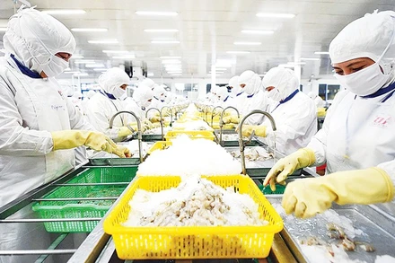 Nhiều doanh nghiệp thủy sản đã bắt đầu triển khai blockchain để chứng minh xuất xứ và quy trình sản xuất thân thiện môi trường. Ảnh: THÀNH ĐẠT