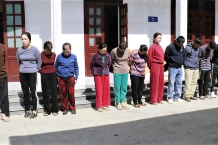 Các đối tượng trong ổ nhóm đánh bạc bị bắt giữ. (Ảnh: Công an Nghệ An)